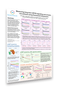 Measuring-Long-Term-GPCR-signaling-arrestin-recruitment